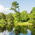 Acadia Gardens, Maine