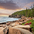 Acadia National Park Coastline
