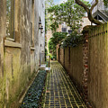 Charleston Garden Walkway - View 1