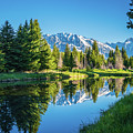 Schwabacher Landing - Morning - Grand Tetons